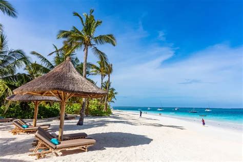 14,468 Zanzibar Island Stock Photos and High.